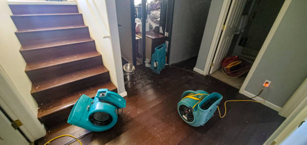 Best Water damage mitigation services  in Exander City, AL