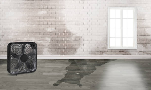 Sewage cleanup and water damage restoration in AL