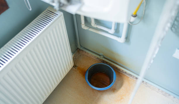 Best Water damage contractors near me  in Exander City, AL