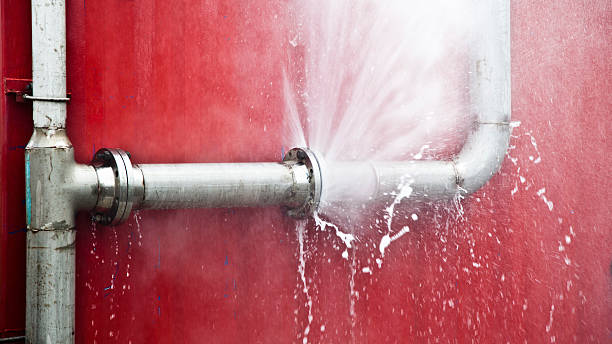 Best Mold removal after water damage  in Exander City, AL